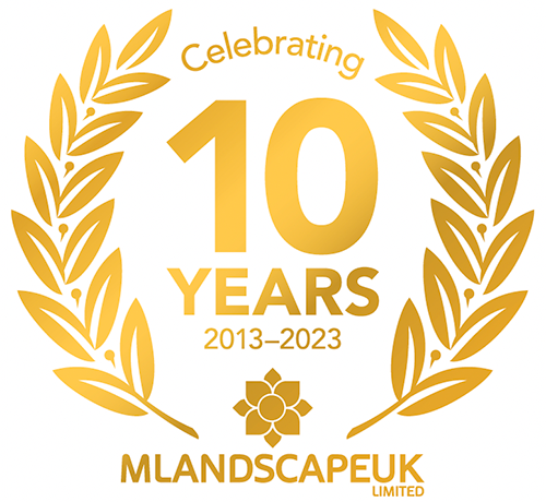 M Landscape celebrating 10 years